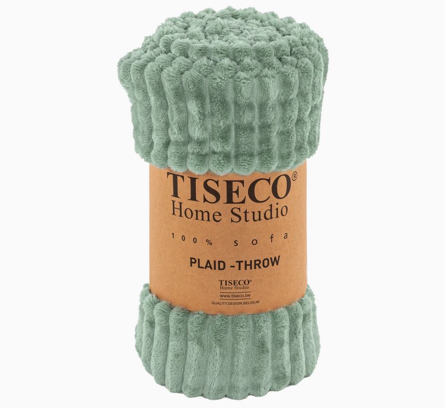 Plaid Home Studio RIBBLE microflanelle vert pastel 130/160 cm